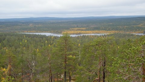 Vaattunkivaaran nkymi
