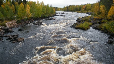 Vikaköngäs