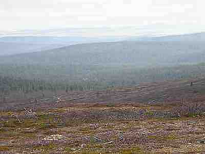 DSCF1275.jpg - 8935 Bytes