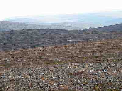 DSCF1310.jpg - 12050 Bytes
