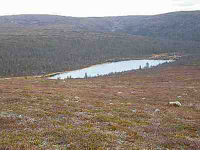 DSCF1313.jpg - 12614 Bytes