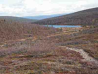 DSCF1323.jpg - 15757 Bytes