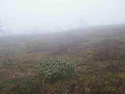 DSCF1340.jpg - 7655 Bytes