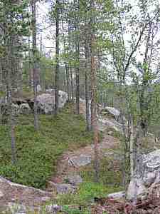 IMG_0578a.jpg - 17765 Bytes
