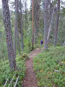 IMG_0593a.jpg - 16189 Bytes