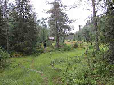 IMG_0597a.jpg - 14117 Bytes