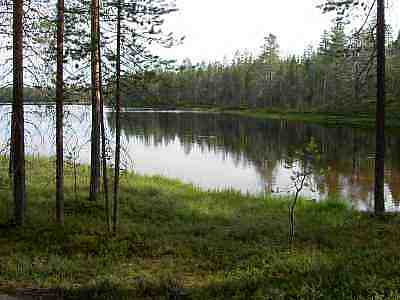 PICT0417a.jpg - 14156 Bytes