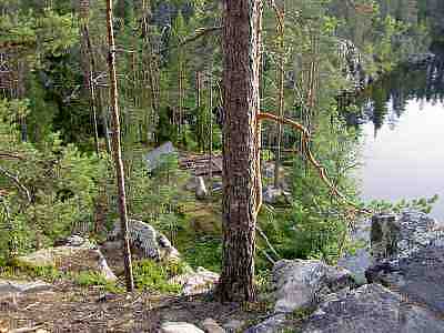 PICT0427a.jpg - 18468 Bytes