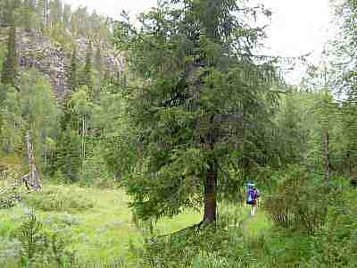 PICT0443a.jpg - 15947 Bytes