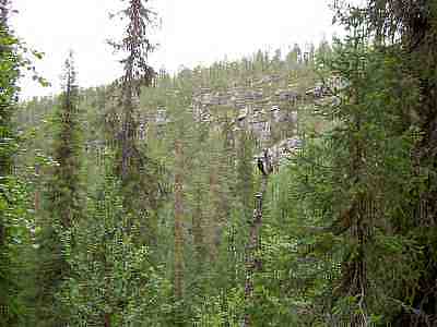 PICT0449a.jpg - 14659 Bytes