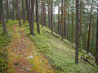PICT0517a.jpg - 17447 Bytes