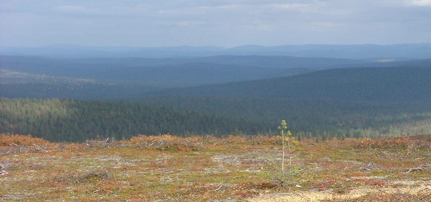 Iisakkipäällä - 45996 Bytes