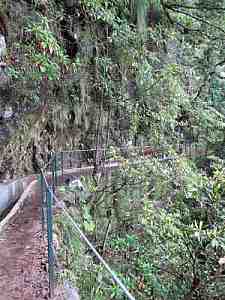 levada Ribeiro Frio - Portela