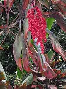 IMG_0226a.jpg - 17142 Bytes