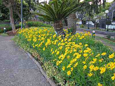 IMG_0231a.jpg - 18415 Bytes