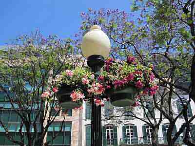 IMG_0352a.jpg - 18560 Bytes