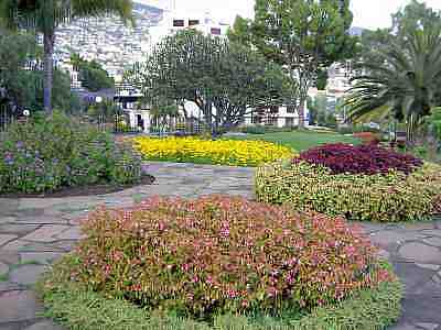 PICT0038a.jpg - 18515 Bytes