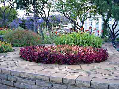PICT0040a.jpg - 18860 Bytes