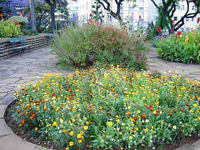 PICT0041a.jpg - 20974 Bytes