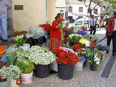 PICT0092a.jpg - 17538 Bytes