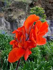 PICT0212a.jpg - 14024 Bytes