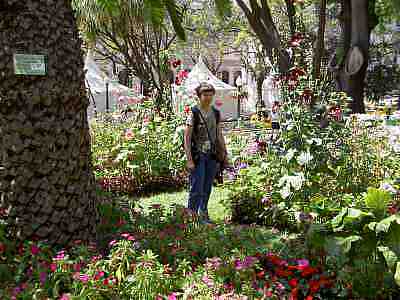 PICT0353a.jpg - 21299 Bytes