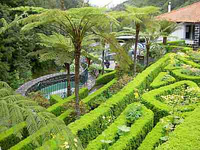 Ribeiro Frio