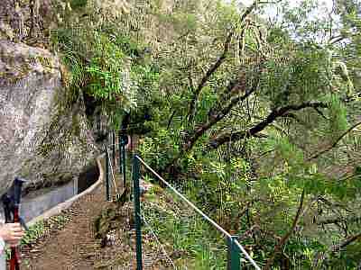 Levada Ribeiro Frio