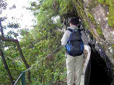 levada